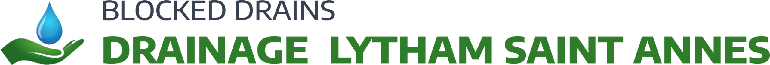 website logo